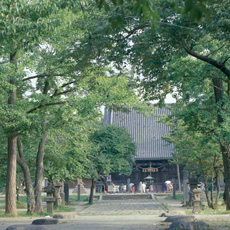 11 Yakushido hall of Mutsukokubunji Temple