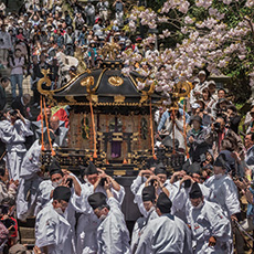 43 鹽竈神社帆手祭・花祭